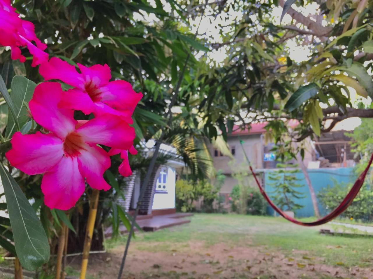 Cozy Cottage-Тангалла Экстерьер фото